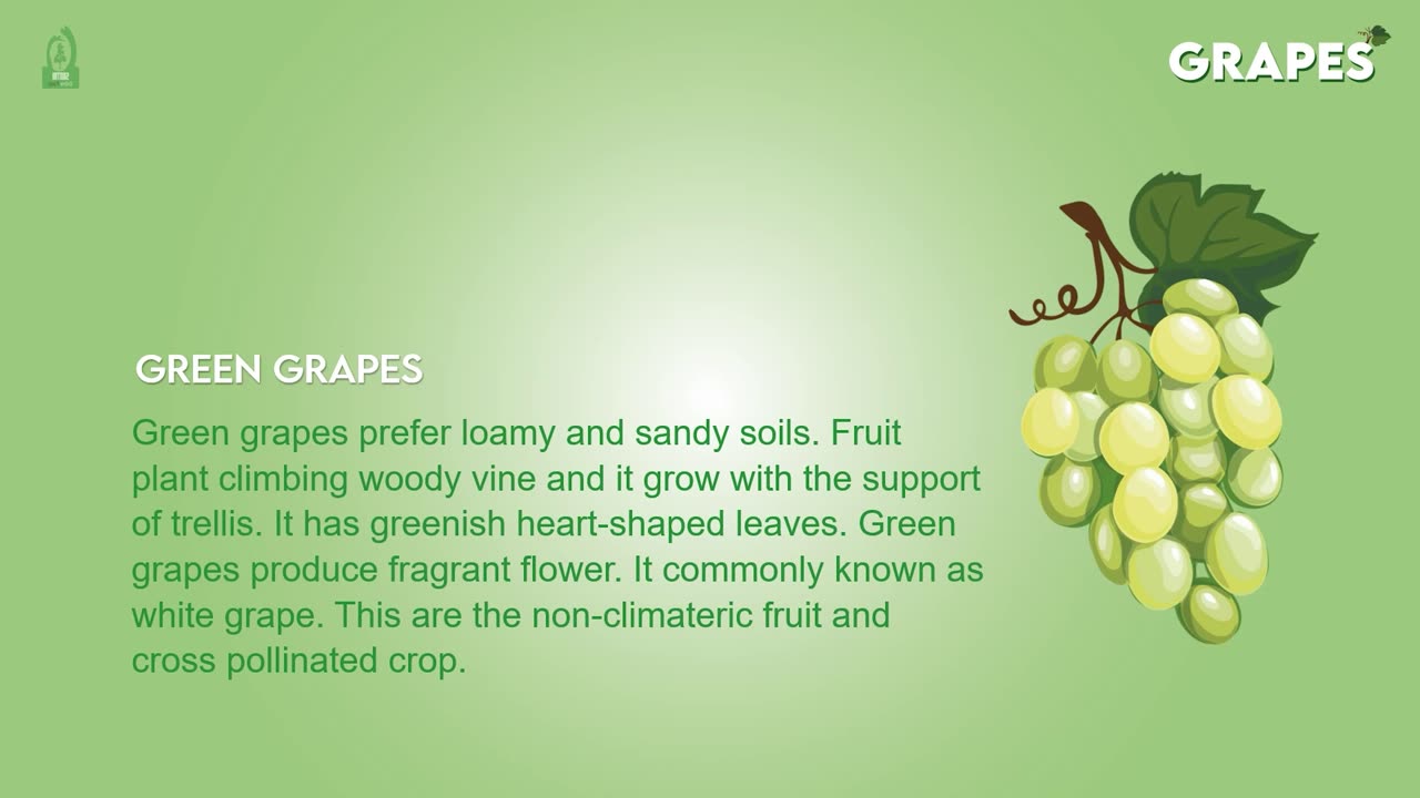 Grapes