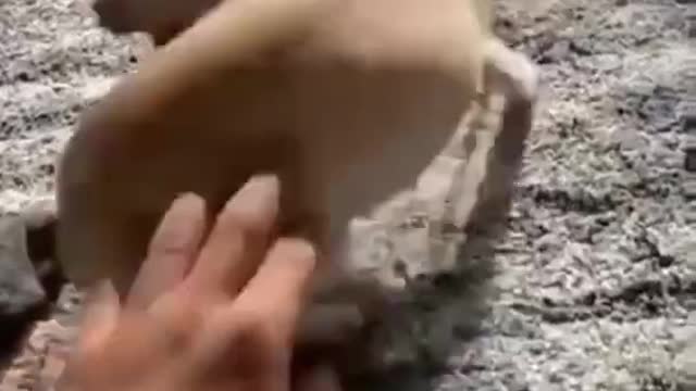 Short funny clip.