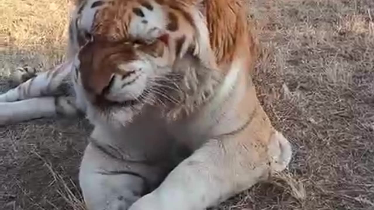 Funny