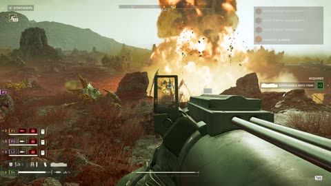 I Love Machinegunning Bugs (Helldivers 2 - Terminids)