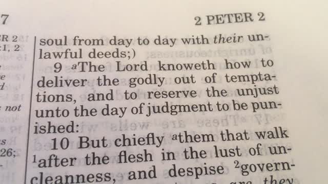 APOSTLE PETER EXPOSES THE LEFT AND MSM!