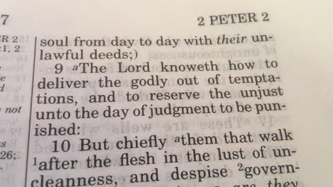 APOSTLE PETER EXPOSES THE LEFT AND MSM!