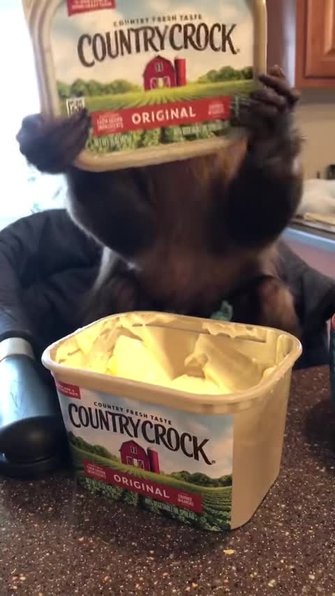 It’s Friday! Anyone wanna share our butter with us ! ! I’m cleaner than most! I’m pretty slick thou