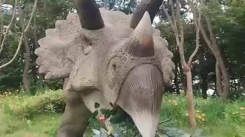 Triceratops Dinosaur