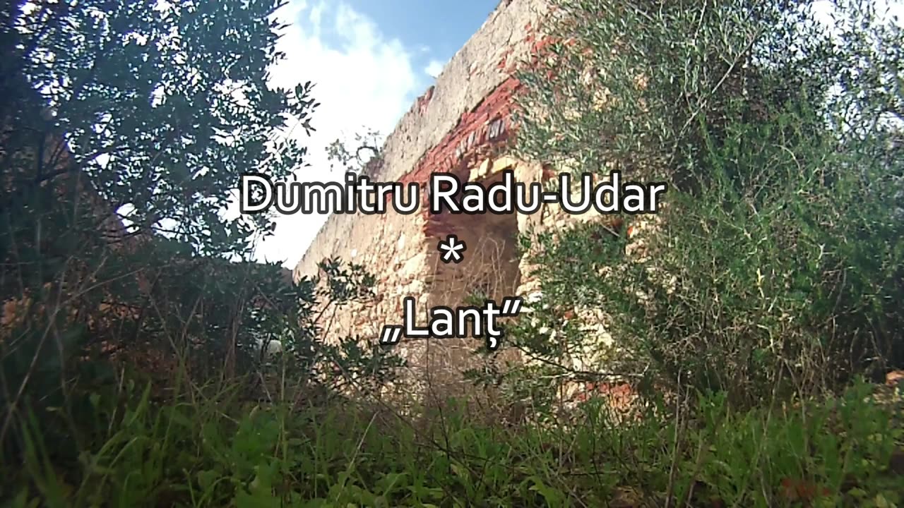 Dumitru Radu-Udar - Lanț