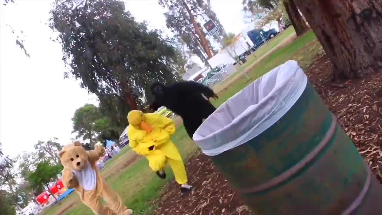 Savage Duck: The Return