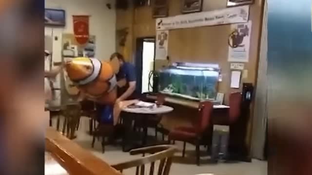 Funny videos #022