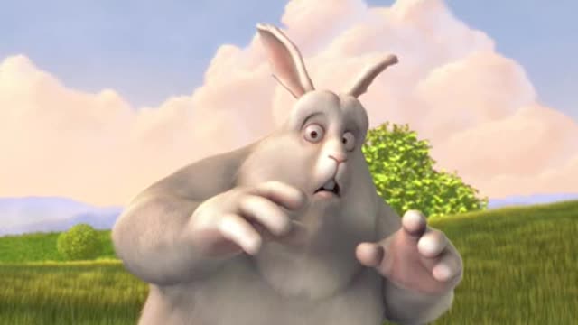 Big buck bunny video