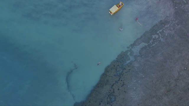 Man Swimming Near a Coral Reef