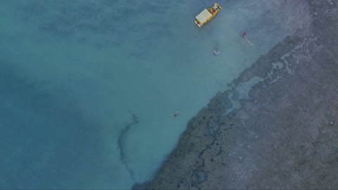 Man Swimming Near a Coral Reef