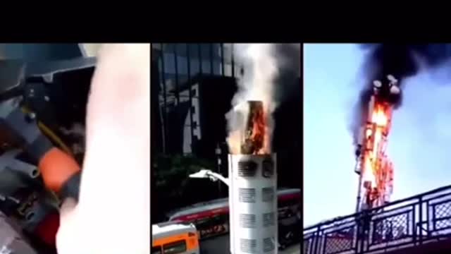 Even the ants know what’s up