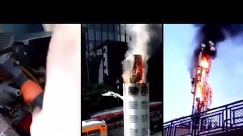 Even the ants know what’s up