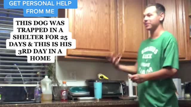 How To Stop Counter Surfing under 2 Minutes