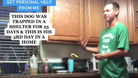 How To Stop Counter Surfing under 2 Minutes