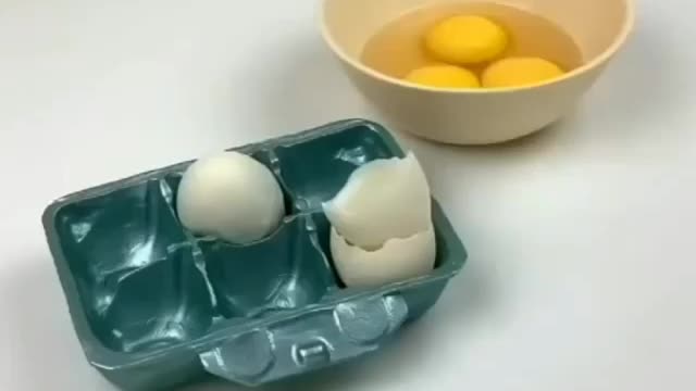 Not a real pet and not a real cake