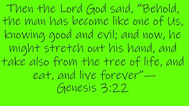 Genesis 3:17-24 | The continuation of the expulsion, the importance of the nuclear family.