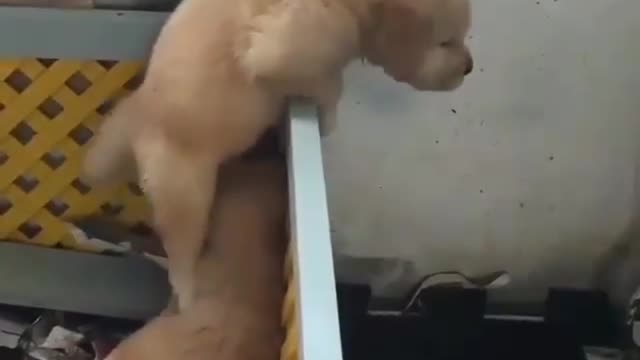 I'm going out, going out