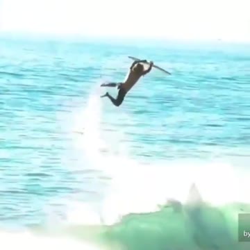 The three cheapest things in reality are the gentleness that can a