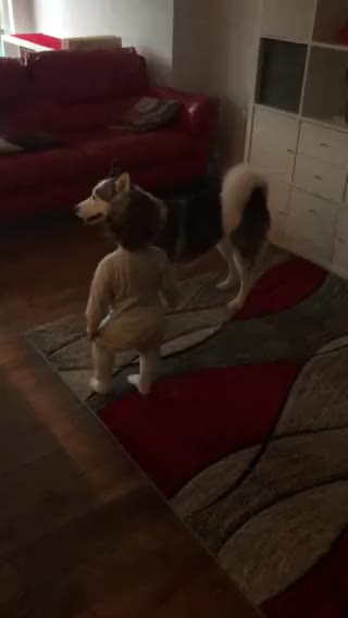 Baby with dog are both playing