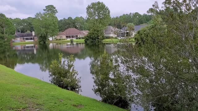 Calming Lake Scene