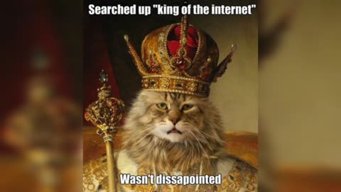 King of the internet