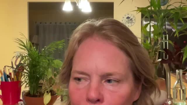 My Idea re: Kim Goguen who has seen the ARK OF THE COVENANT?!