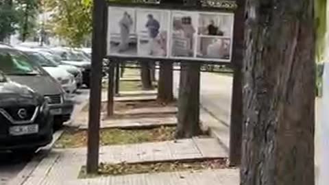 O galerie foto promovând noul cult al covidismului