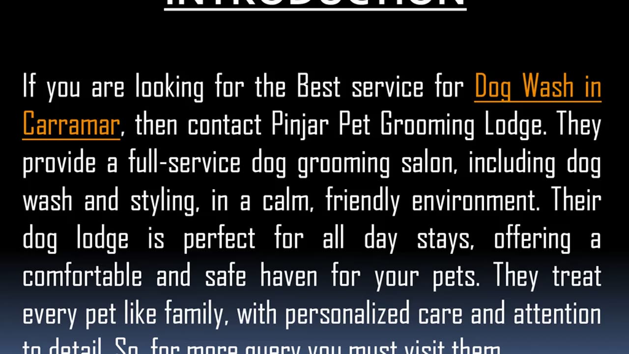 Best service for Dog Wash in Carramar