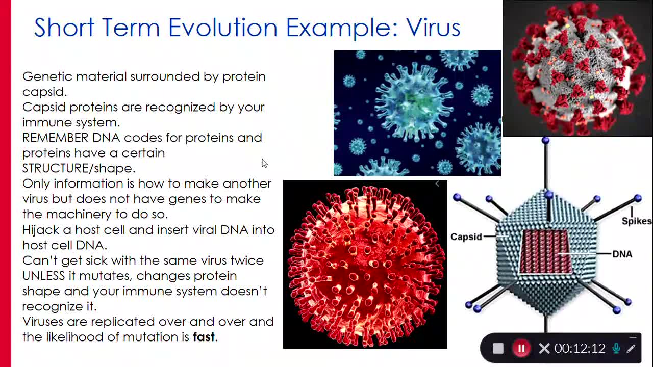 Evolution: The E Word