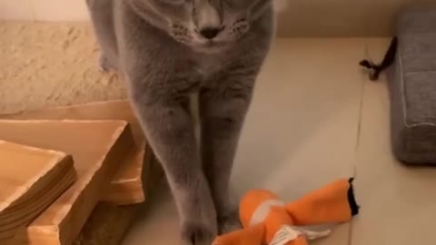 ps Moments Viral Clips #shorts 🤣_#trending #animals #funny #reels