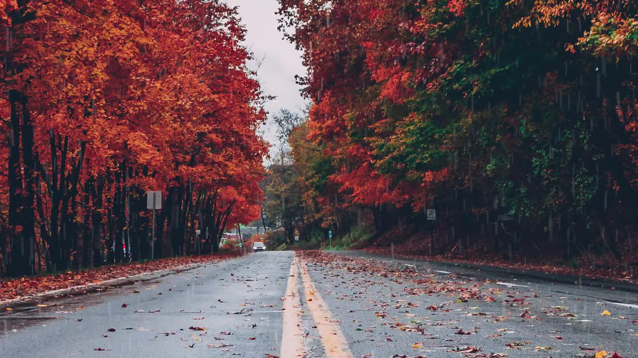 Soft rain sound to calm nerves and sleep