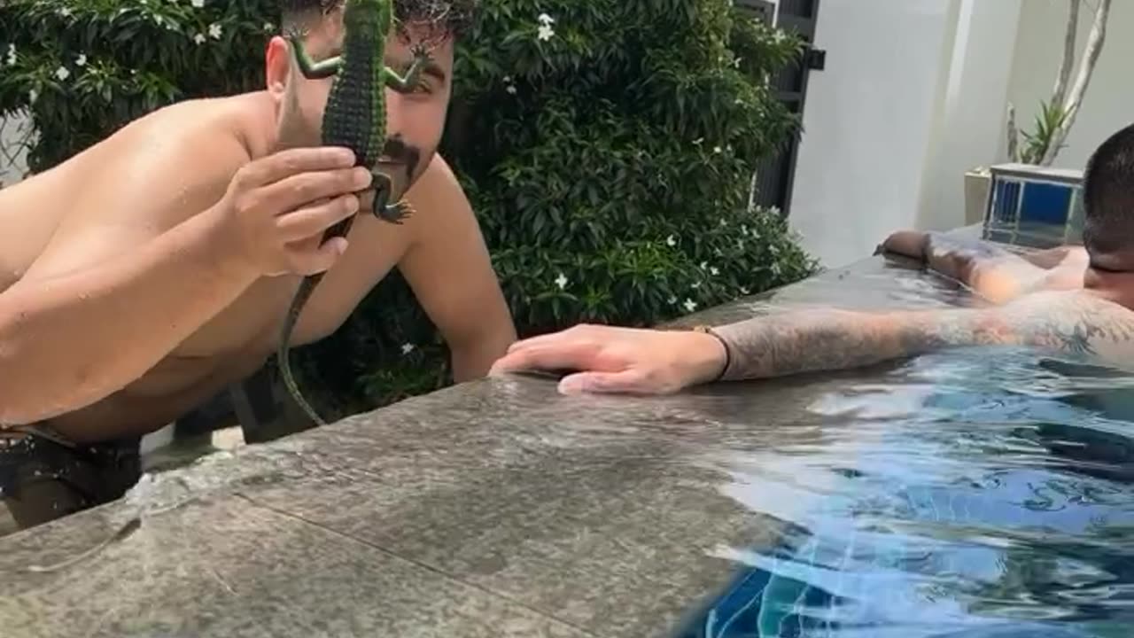 🐊 Wait For And 😂😂