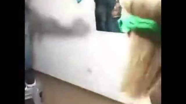 Try not to laugh Oy oy oy oy