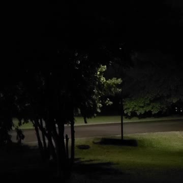 Easy Like Tennessee Rain