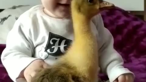 Cute baby😍playing with baby duck😍