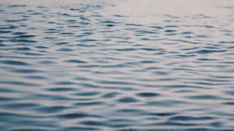 FIAM. Incredibilmente vetro