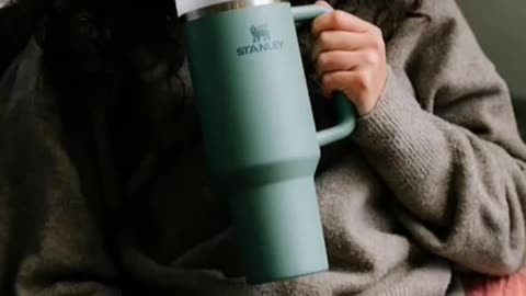 Stanley Quencher H2.0 FlowState Stainless Steel