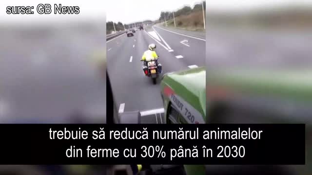 NOI DEZVALUIRI DESPRE RESETARE