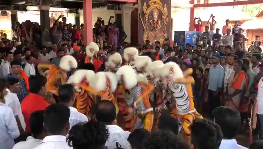 Huli vesha kunitha (Tiger dance )7u