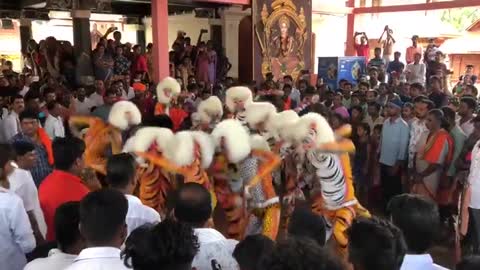 Huli vesha kunitha (Tiger dance )7u