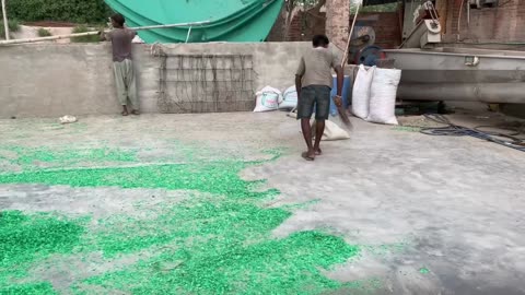 plastic Bottle recycle - plastic bottle recycling business idea