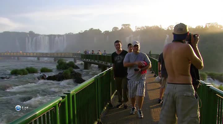 Diverse Flora and Fauna Brazil