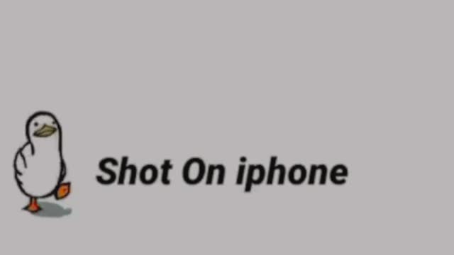 IPhone shot memes by Max