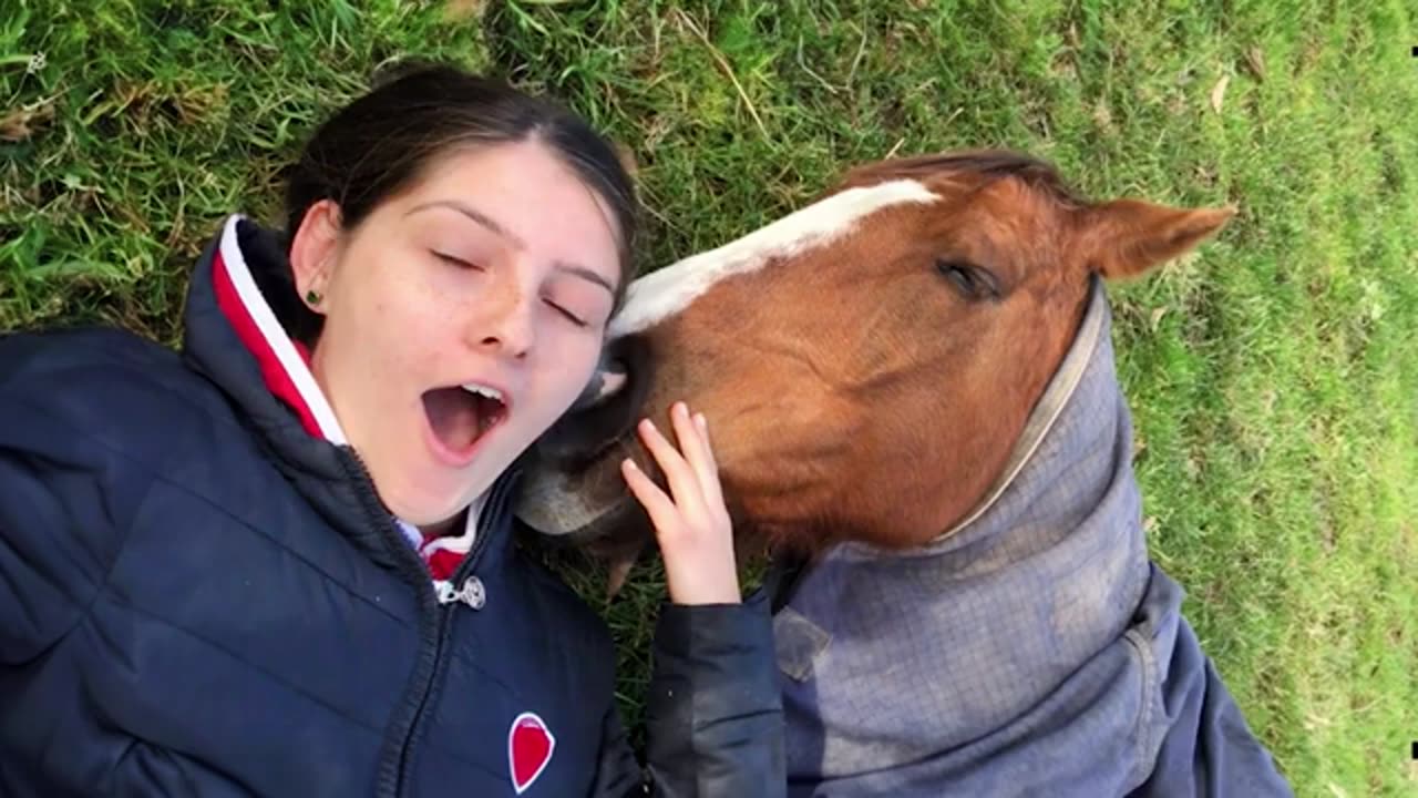 When you have a sensitive big boy beside - Cute Horse and Human