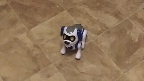 A toy robot dog