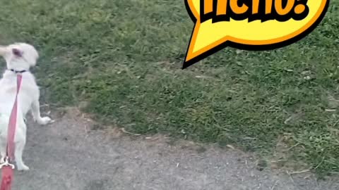 tiday video