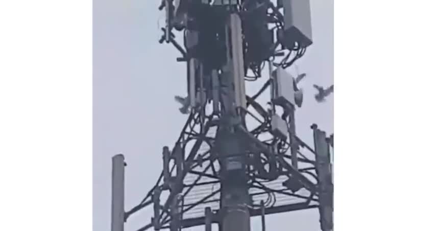 5G BEGINS IT's KILL -OFF!