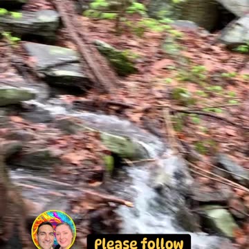 PERFECT BACKYARD WATERFALL!