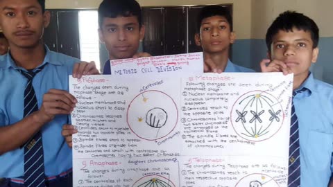 Students preparing plant cell and animal cell