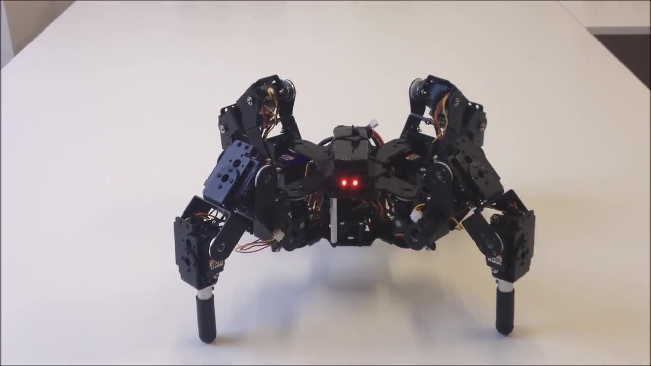 Quadruped 4DOF